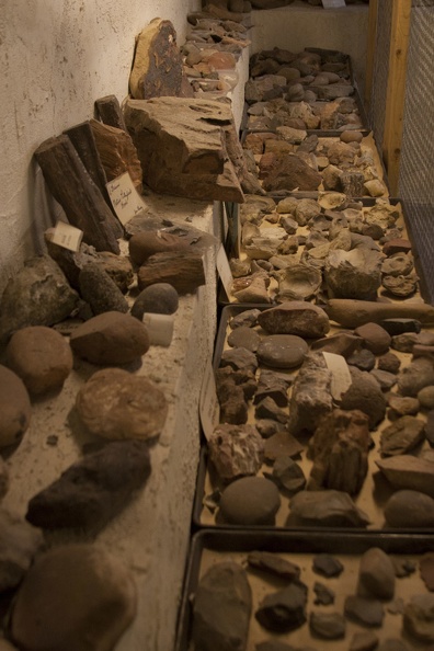 317-2009 TNM Museum Geology Collection.jpg